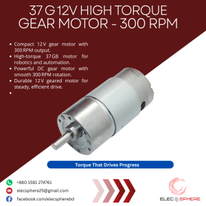 37 G MOTOR - 300 RPM